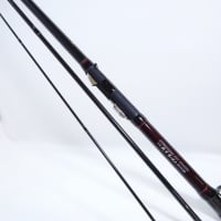 16ブラッキー ザ 戦竿 落とし込み 30/35HP